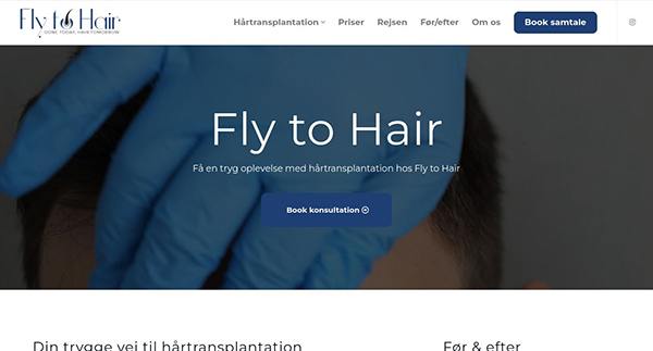 Fly to Hair